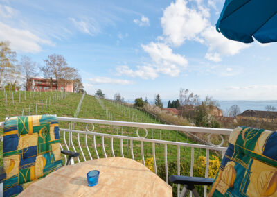 Blick auf Weinberge und den See